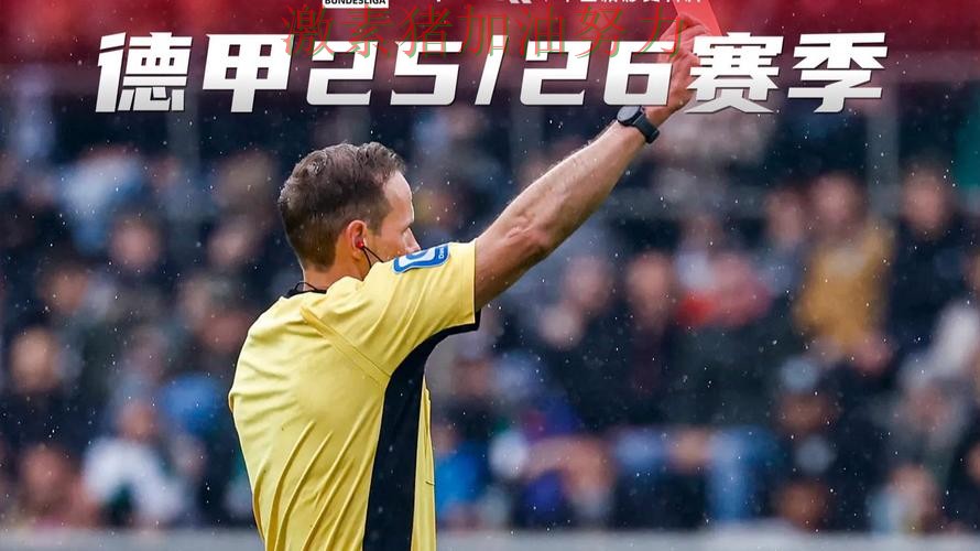 德甲关键判罚引争议引发热议 德甲关键判罚引争议引发热议